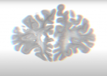 La mente, en pocas palabras