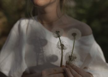 Persona Altamente Sensible