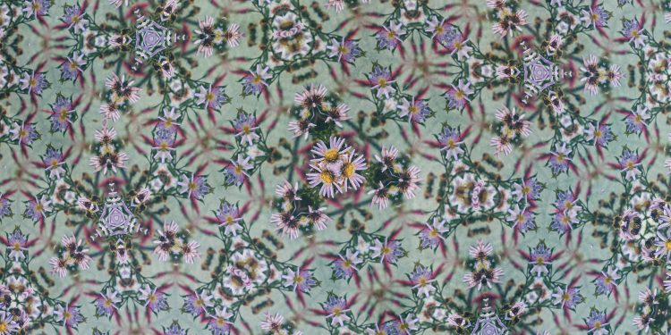 ¿Qué es la emodiversidad y cómo la podemos desarrollar y practicar?